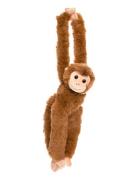 Dreamies- Monkey, Large Brown Teddykompaniet