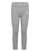 Lk 3S Tight Grey Adidas Sportswear