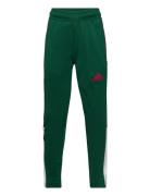 J Np Tiro Pant Green Adidas Sportswear