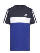 Lk 3S Tib T Blue Adidas Sportswear