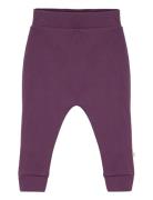 Pants Purple Smallstuff