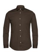 Essential Poplin Solid Brown Scotch & Soda