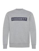 Hs Essential Sp Crew Grey Hackett London