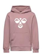 Hmlcuatro Hoodie Pink Hummel