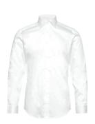 Frontier White Reiss