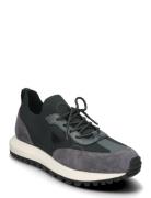 Sneaker Grey Emporio Armani