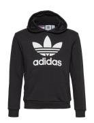 Trefoil Hoodie Black Adidas Originals