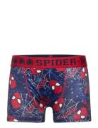 Boxer Navy Marvel