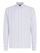 Multi Stripe Oxford Rf Shirt White Tommy Hilfiger