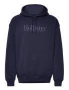 Hco. Guys Sweatshirts Navy Hollister