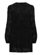 Dablon Lace Black Mini Dress Black ALOHAS