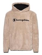 Hooded Top Beige Champion