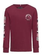 Flags Embroidered Reg Tee Ls Burgundy Tommy Hilfiger