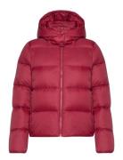 Mw Down Short Puffer Pink Calvin Klein Jeans