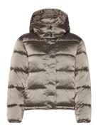 Shiny Monologo Nd Short Puffer Brown Calvin Klein Jeans