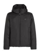 Non Quilt Padded Hooded Jacket Black Calvin Klein