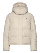 Matte Monologo Nd Short Puffer Cream Calvin Klein Jeans