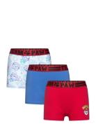 Boxer Patterned Paw Patrol