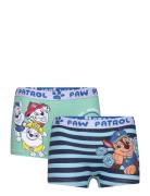 Boxer Blue Paw Patrol