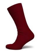 Red Ribbed Socks Burgundy AN IVY