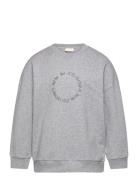 Sweat Shirt Haw Grey Petit Piao