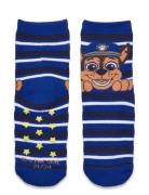 Socks Blue Paw Patrol