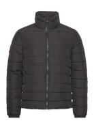 Fuji Emb Padded Jacket Black Superdry