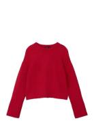 Nlfride Ls Short Rib Knit Red LMTD