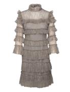 Carmine Frill Mini Lace Dress Grey Malina