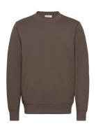 Cfsebastian 0096 Crew Neck Swe Brown Casual Friday