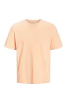 Jjeorganic Basic Tee Ss O-Neck Noos Orange Jack & J S