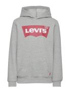 Po-Pull-Over Hoody Grey Levi's