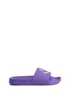 Zhappy Purple Molo