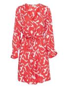 Frdotte Dr 1 Red Fransa