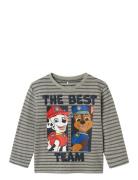 Nmmjasper Paw Ls Nreg Top Cplg Grey Name It