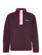 Helvetia Ii Half Snap Fleece Purple Columbia Sportswear