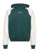 Hco. Guys Sweatshirts Green Hollister