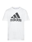 U Bl Tee White Adidas Sportswear