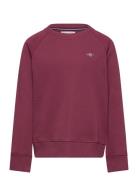 Shield C-Neck Burgundy GANT