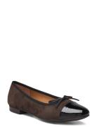 Ballerina Brown Billi Bi