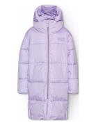 Harper Purple Molo