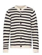 Striped Cardigan Navy FUB