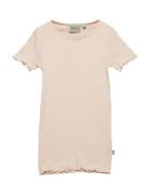 Rib T-Shirt Lace Ss Beige Wheat