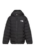 B Reversible Perrito Hooded Jacket Black The North Face