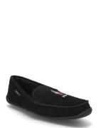 Brenan Polo Bear Suede Slipper Black Polo Ralph Lauren