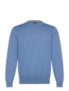 Pacas-L Blue BOSS