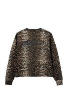 Elisw Sweatshirt Brown Sofie Schnoor