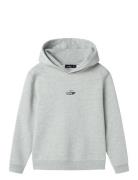 Nlmshostar Ls Sweat W.hood Grey LMTD