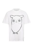 Regular Big Owl Front Print T-Shirt White Knowledge Cotton Apparel