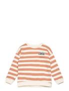 Cartoon Cotton Sweatshirt Orange Mango